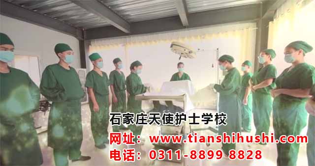 QQ截圖20190119083057副本.jpg QQ截圖20190119083057副本.jpg